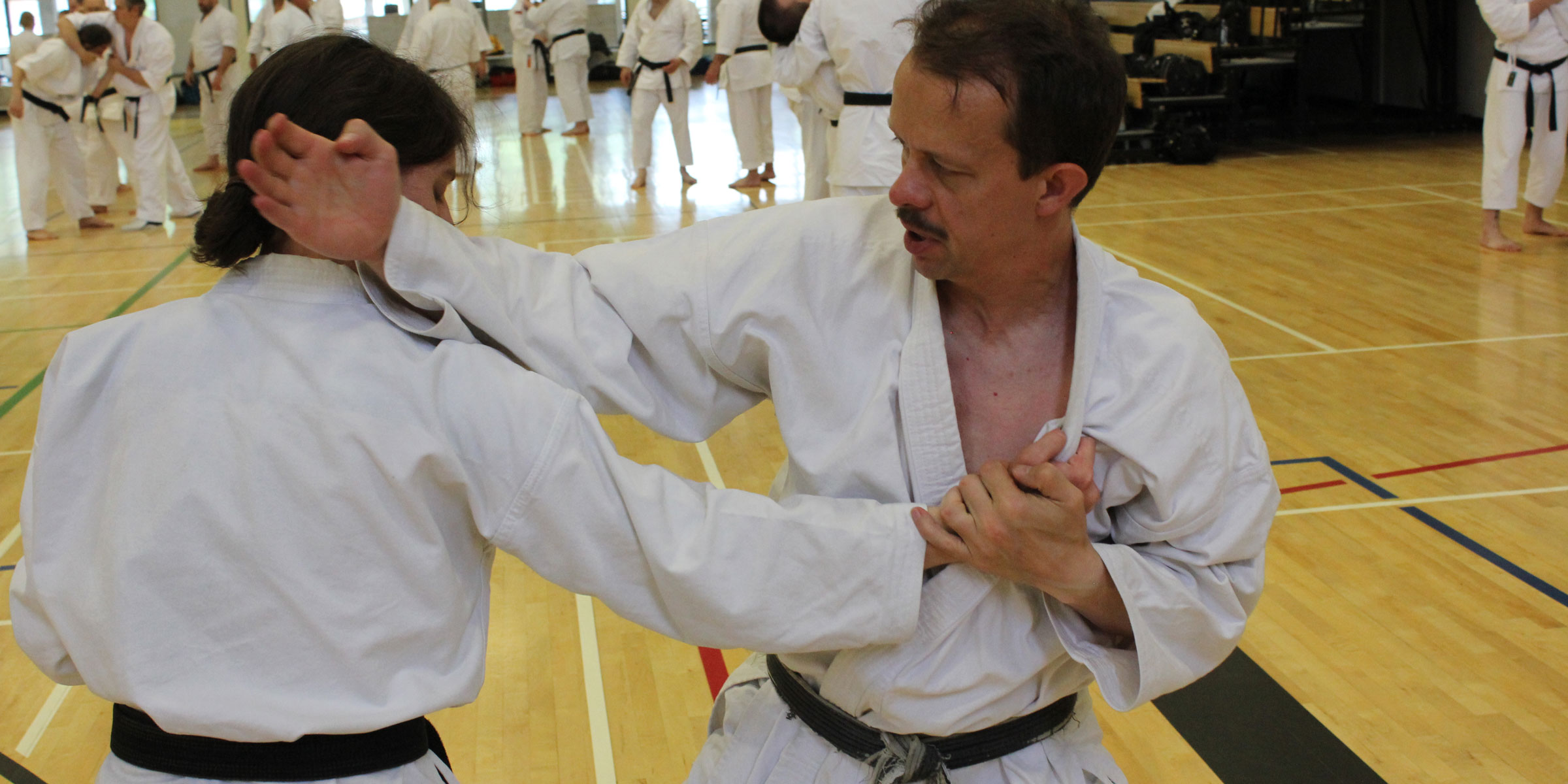 bunkai-banner-links