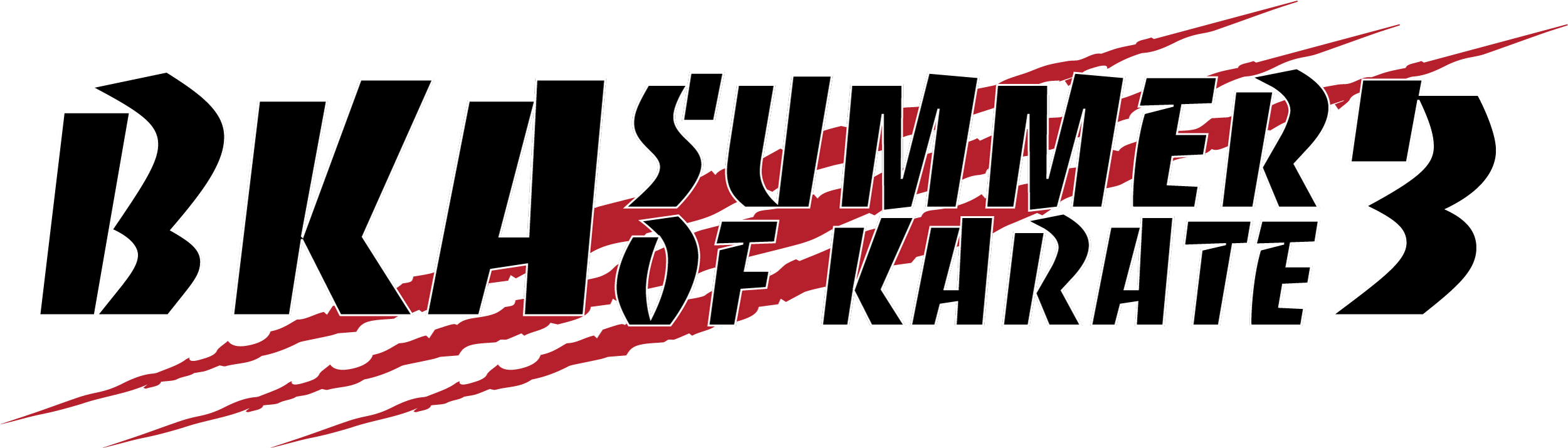 summerofkarate3
